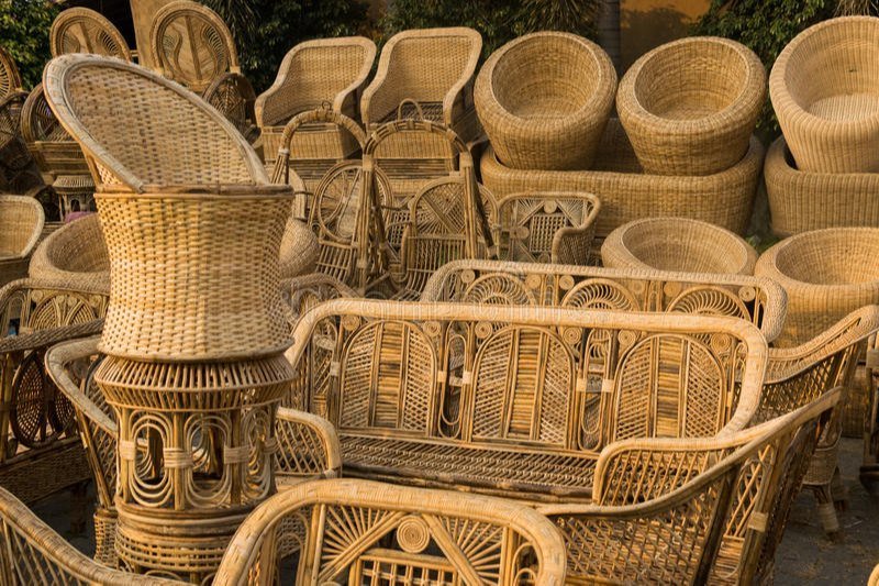 Bamboo Tree Products
